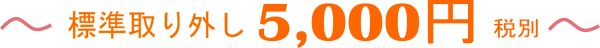 標準取り外し5000円